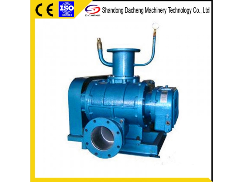 Dsr-V Long Service Life Roots Vacuum Blower Manufacturer with Ce Certificate