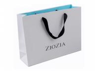 Cotton rope handle custom color printed paper bags with your own logo