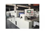 Automatic Die-cutting Machine and Stripping