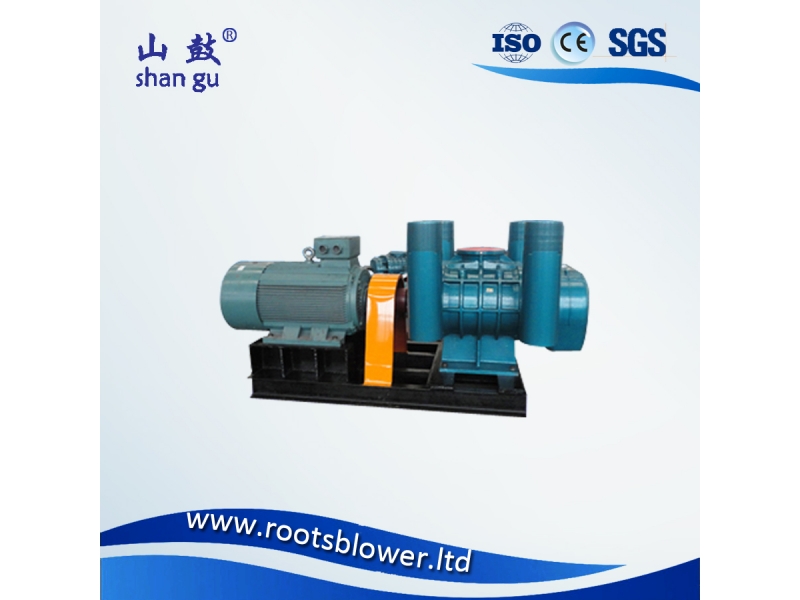 shandong factory price Japan technology  roots vacuum blower