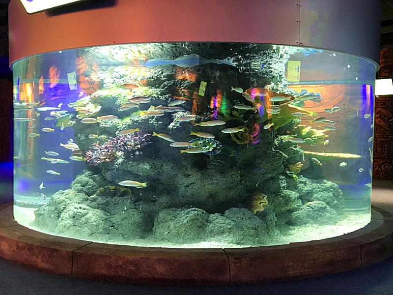 Acrylic aquarium
