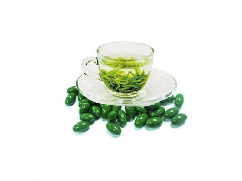Green Tea Extract Softgel OEM