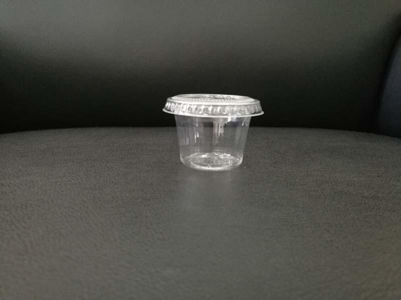 Disposable PET plastic transparent drink cup 24oz (680ml)