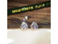 Simulation diamond earrings carbon-drilled sterling silver gold-plated ear jewelry