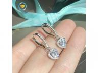 Simulation diamond earrings female high carbon diamond nscd diamond sterling silver gold ear jewelry