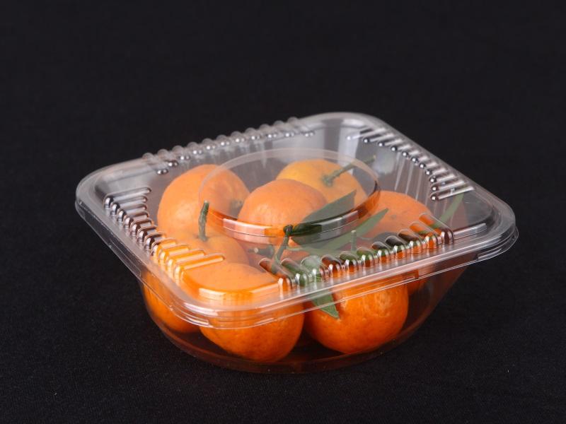 PET plastic fruit packaging box