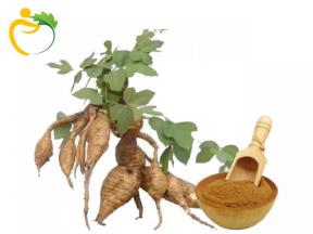 Natural kudzu root extract Powder  Isoflavones 40%    Puerarin 15%