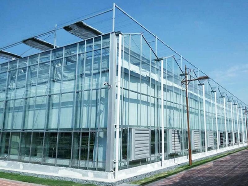 Venlo Glass Greenhouse Agricultur Flower Greenhouse