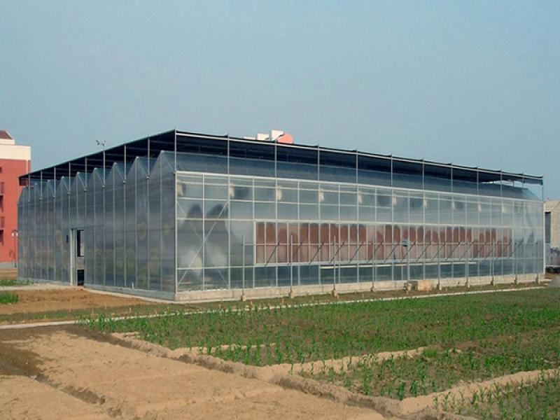 Venlo PC Sheet Greenhouse Agricultur Flower Greenhouse