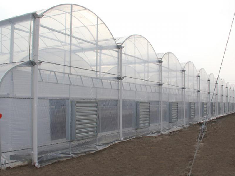 Multi-span Plastic Fim Greenhouse Agricultur Flower Greenhouse