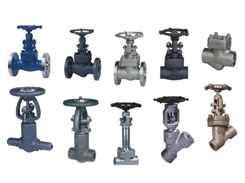 Forged Valves
