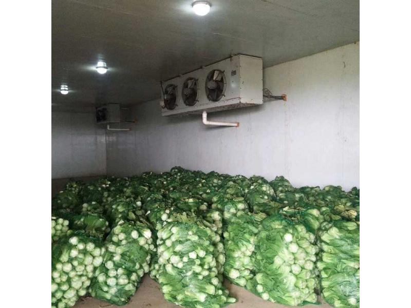 Vegetable Cold Room