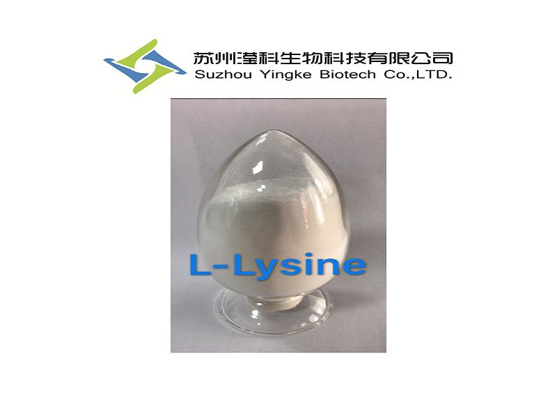L-Lysine Factory 56-87-1