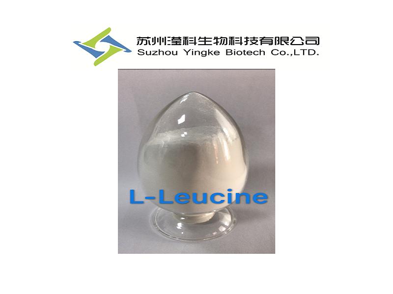 L-Leucine  Factory 73-32-5