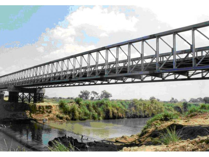 Company patent D-bridge,Portable Stability Bailey Truss Bridge