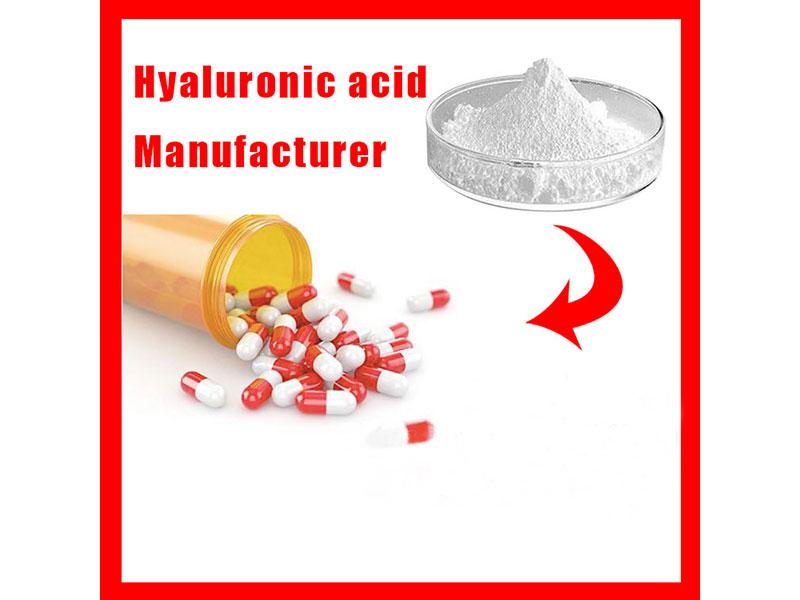 Manufacturer GMP DMF Best Price Hyaluronic acid