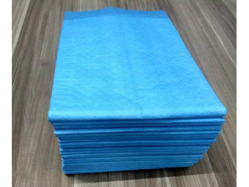 Absorbent disposable pet training pads for dogs