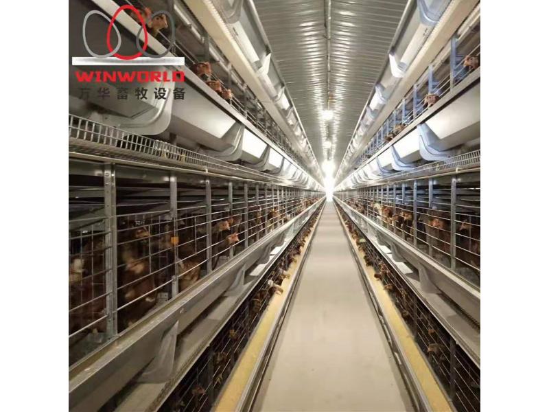 Philippines H Type Battery Egg Layer Cage for Poultry Farm