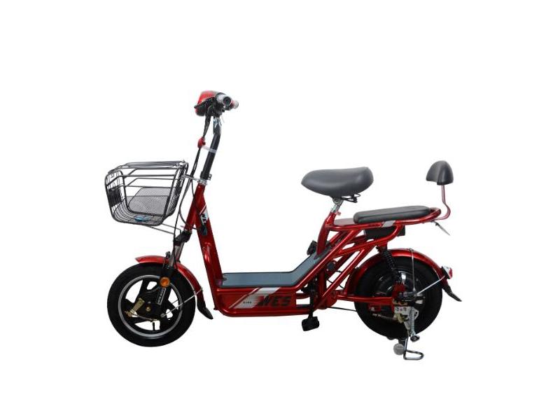 Micro Electric Motor Bicycle 48V/400W