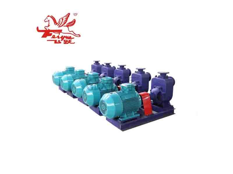 S Centrifugal Slurry Chemical Industrial Double Suction Pump