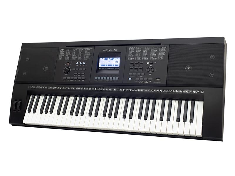 61 Keys Touch Response Electronic Organ LED Display Electric Keyboard Piano  - China Electronic Organ and 61 Keys Piano price