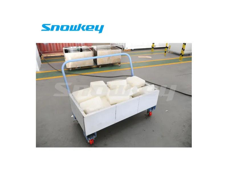 Block Ice Cube Maker Ice Maker Machine for Hotels