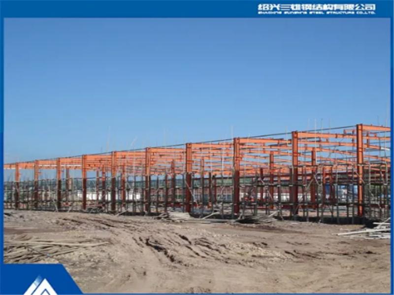 Single Story Warehouse Steel Structure with Building Material for Warehouse