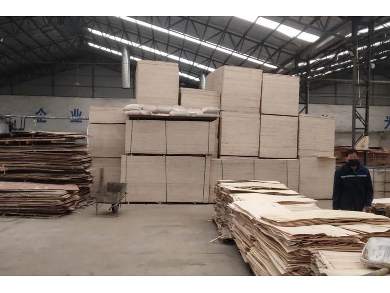 Construction Plywood Without Film Manufacturer