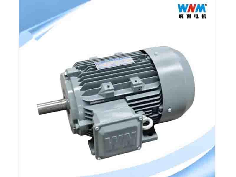 Yxl CE Approved CCC High Efficiency Aluminum Shell AC Electric Motor for Fans Pumps Mixers Blenders 