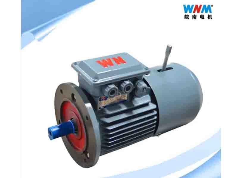 IEC 60034 Standard High Efficiency Industry Three Phase Induction Electric AC Motor Drive for Fans P