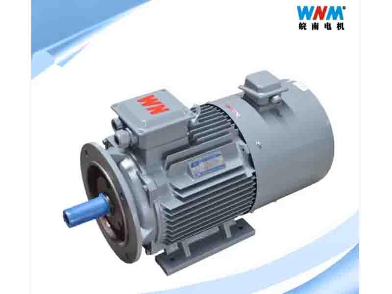 Ye3vf IEC High Efficiency Frequency Variable Three Phase Induction Electric AC Motor Speed Controlle