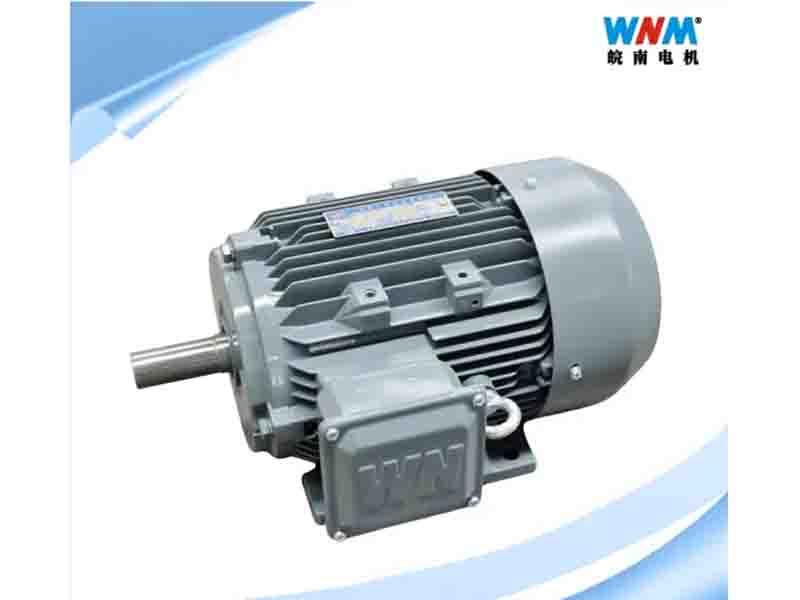 Yxl High Efficiency Three Phase AC Electric Aluminum Electric Motor for Fans Pumps Food Plants Blend
