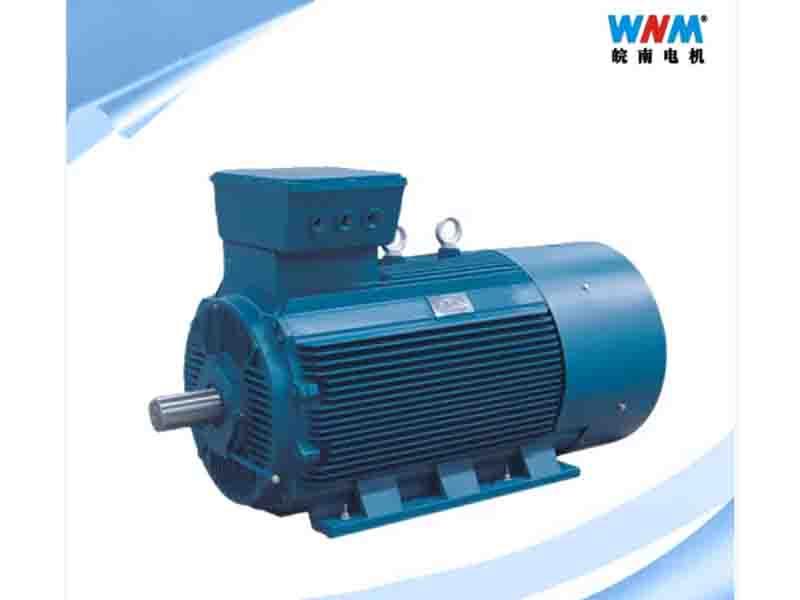 Ylv Low Voltage High Power Three Phase AC Electric Induction Motor Rotor for Fans Pumps Cement Oil Y