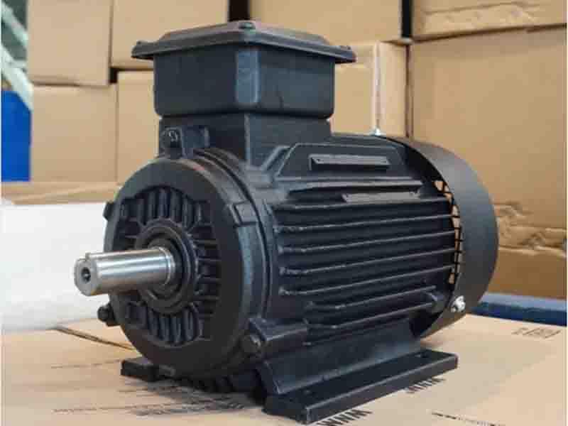 Four-Speed AC Induction Motor