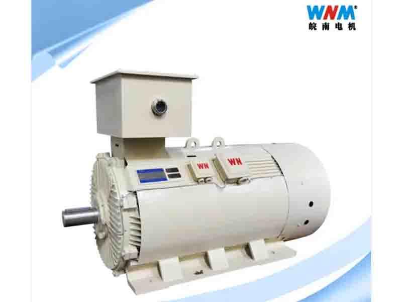 IEC Standard High Quality Premium Efficiency Three Phase Induction AC Motor Drive in Electrical Cont
