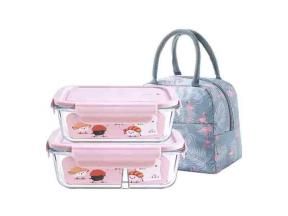 Glass Lunch Box Food Storage Container Set with Thermal Bag