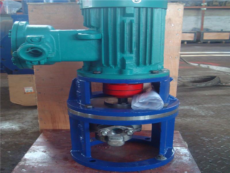 Vertical Gear Oil Pump