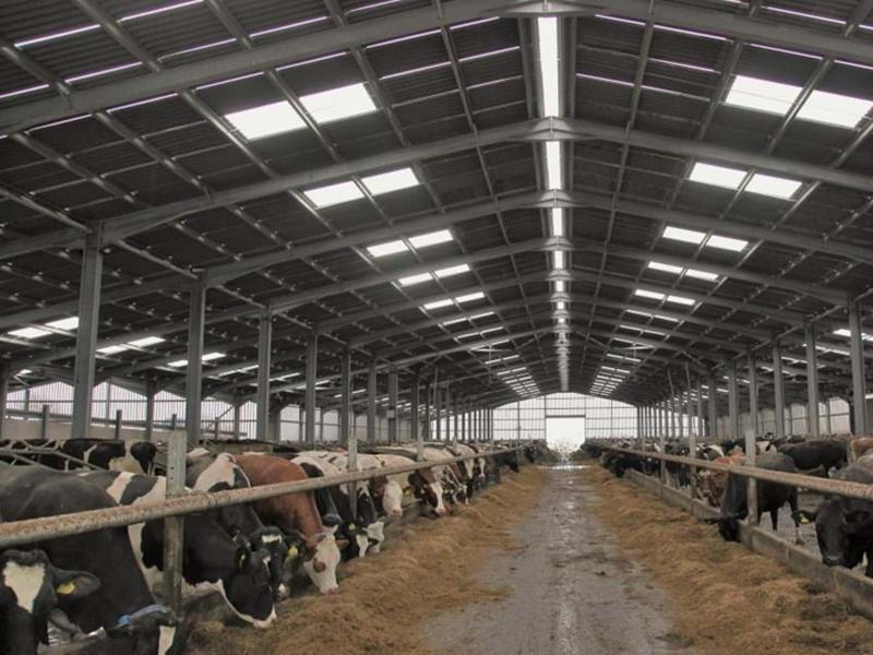 Cow Cattle Fence Cow Cattle Farming Fence Equipment Newly Design Cow Cattle House