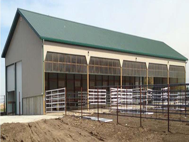 Cheap Light Frame Steel Structure Prefabricated Dairy Cow Farm House Cow House Designed