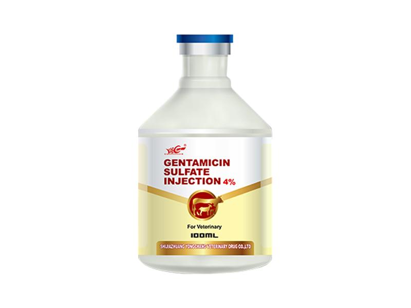 Gentamicin Sulfate INJECTION4%
