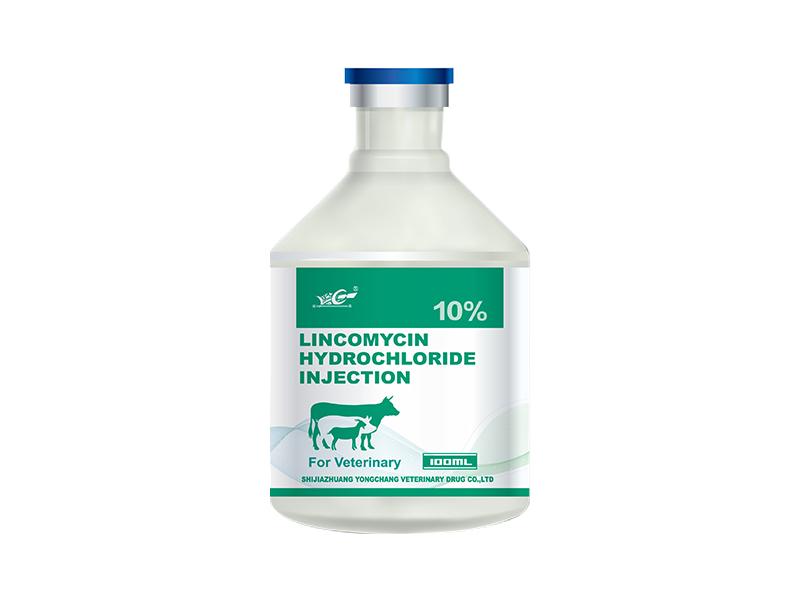 Lincomycin Hydrochloride INJECTION10%