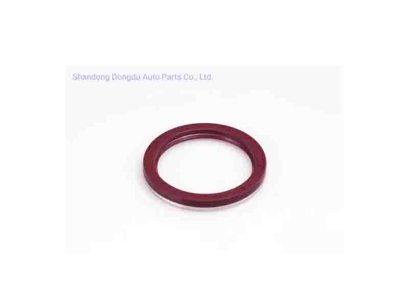Oil Seal for Automobiles/Trucks Customized