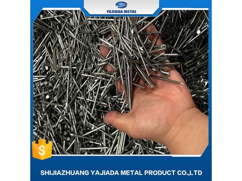  Factory Price Common Nails /Iron Nail /Wire Nail 25kg/Carton