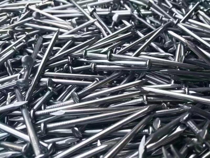 Cheaper Price Steel Nails/Concrete Nails/Wire Nails To Africa Market