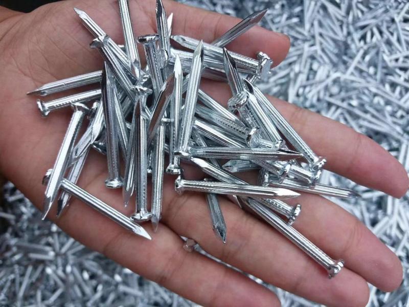 Cheaper Price Steel Nails/Concrete Nails/Wire Nails To South Market