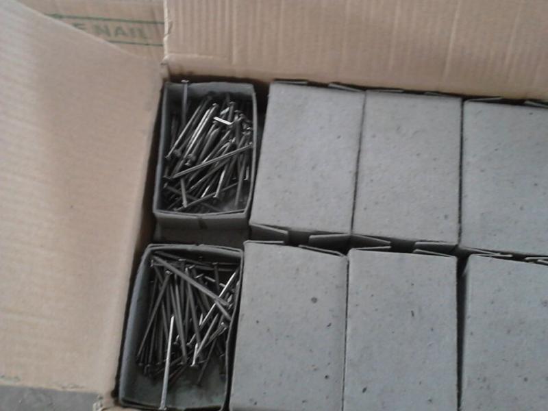  Factory Price Common Nails /Iron Nail /Wire Nail 16boxes/Carton
