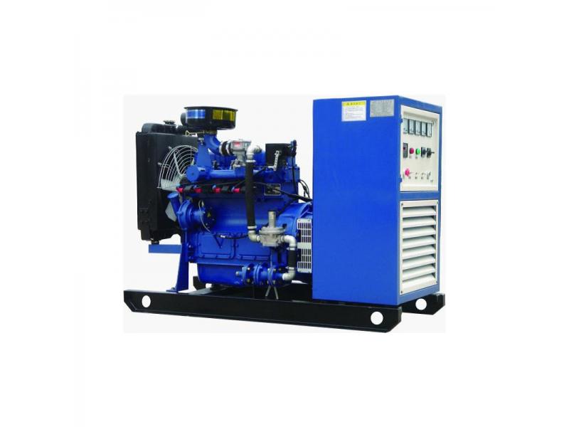 Clean Energy  10KW Gas Generator Set Made in China.