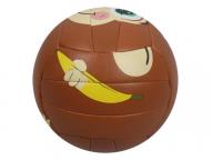 Volleyball Mini Size High Quality Training and Recreation