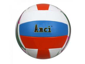 Official Size and Weight Machine Stitched Recreation Training Volleyball