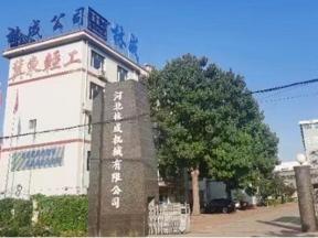Hebei Lincheng Packaging Machinery Manufacturing Co., Ltd